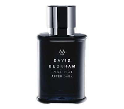 David Beckham Instinct After Dark 105398