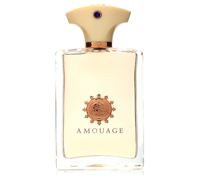 Amouage Dia for men 148874