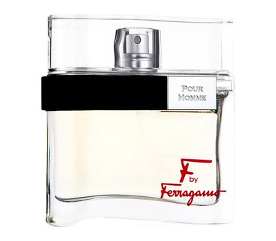 Salvatore Ferragamo F By Ferragamo Pour Homme 178828