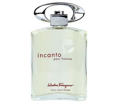 Salvatore Ferragamo Incanto Pour Homme 193943