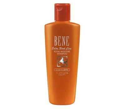 Шампунь для восстановления и ухода за сухими волосами MoltoBene Bene Salon Work Care Shampoo MM