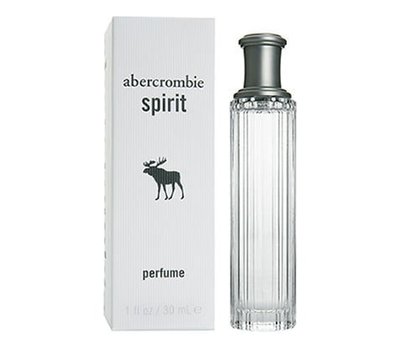 Abercrombie & Fitch Spirit Perfume 46889